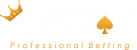 Betvoy logo